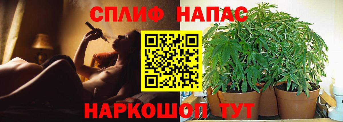 Бошки марихуана MAZAR  Вход с VPN  Конопля конопля  Мариинск 